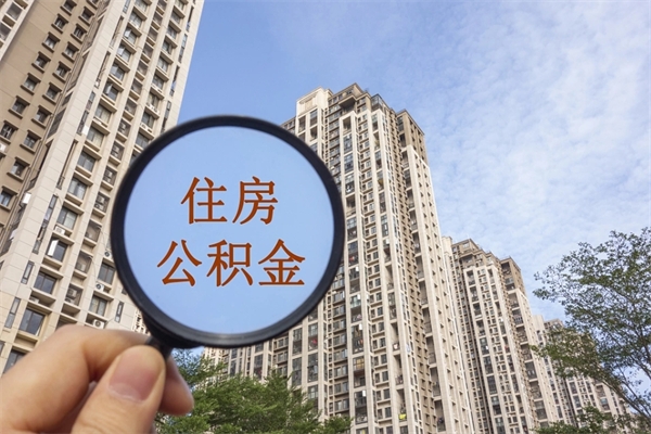 安阳辞职了补充公积金能取不（辞职后补充公积金如何提取）